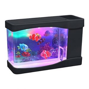 Hồ cá nhân tạo để bàn desktop aquarium clownfish