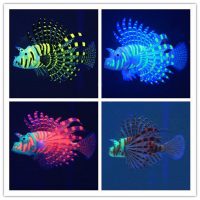 Cá sư tử trang trí bể cá Lionfish glowing