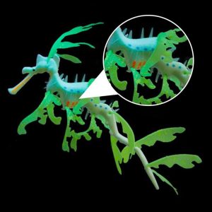 Rồng biển trang trí bể cá leafy sea dragon glowing