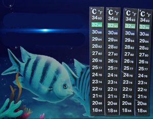 Nhiệt kế dán mặt ngoài hồ cá Thermometer for Aquarium