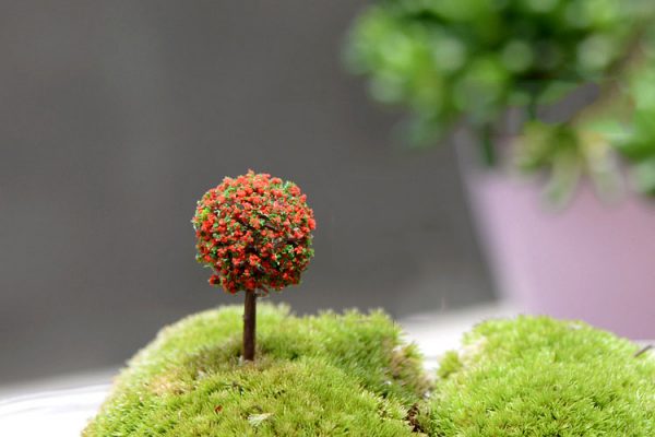 Cây bonsai tròn mini phụ kiện trang trí tiểu cảnh terrarium