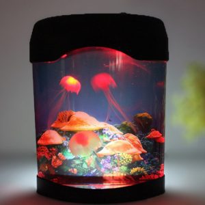 Hồ sứa nhân tạo để bàn desktop aquarium jellyfish clownfish