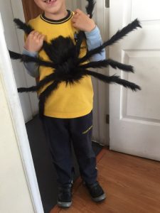 Con nhện giả trang trí tiệc halloween cosplay