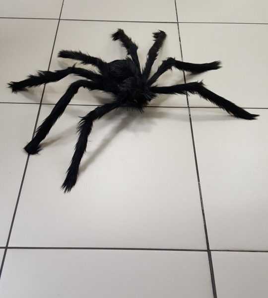 Con nhện giả trang trí tiệc halloween cosplay