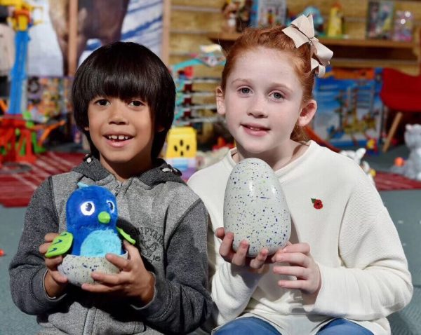 Đồ chơi trứng tương tác nở thú cưng thần kỳ Hatchimals egg
