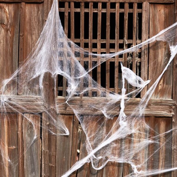 Mạng nhện ma quái trang trí lễ hội hóa trang Halloween