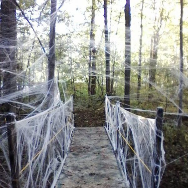 Mạng nhện ma quái trang trí lễ hội hóa trang Halloween
