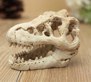 Sọ khủng long Skull Crawler Dragon Lizard Aquarium Trang Trí Bể Cá
