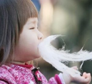 Máy làm kẹo bông gòn Candy Floss Maker