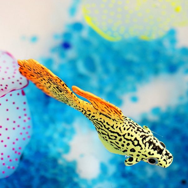 Cá bảy màu trang trí bể cá hiệu ứng ánh sáng UV tuyệt đẹp