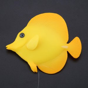 Cá dù Vàng Yellow Tang trang trí bể cá hiệu ứng ánh sáng UV tuyệt đẹp
