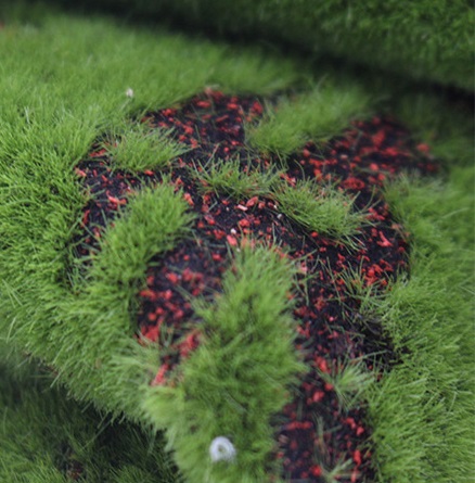 Thảm cỏ xanh thảo nguyên tiểu cảnh bonsai phụ kiện trang trí Terrarium
