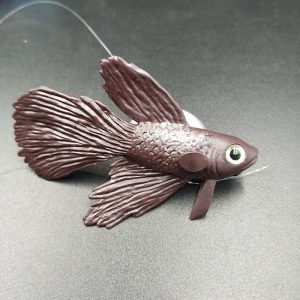 Cá xiêm betta trang trí bể cá độc đáo