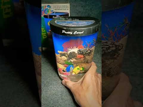 bể cá bất tử mẫu những năm 90s khỏi lo thay nước hay cho cá ăn #dochoituoitho